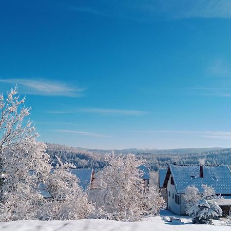 Gite Des Roches La Chaux-du-Dombief Dış mekan fotoğraf